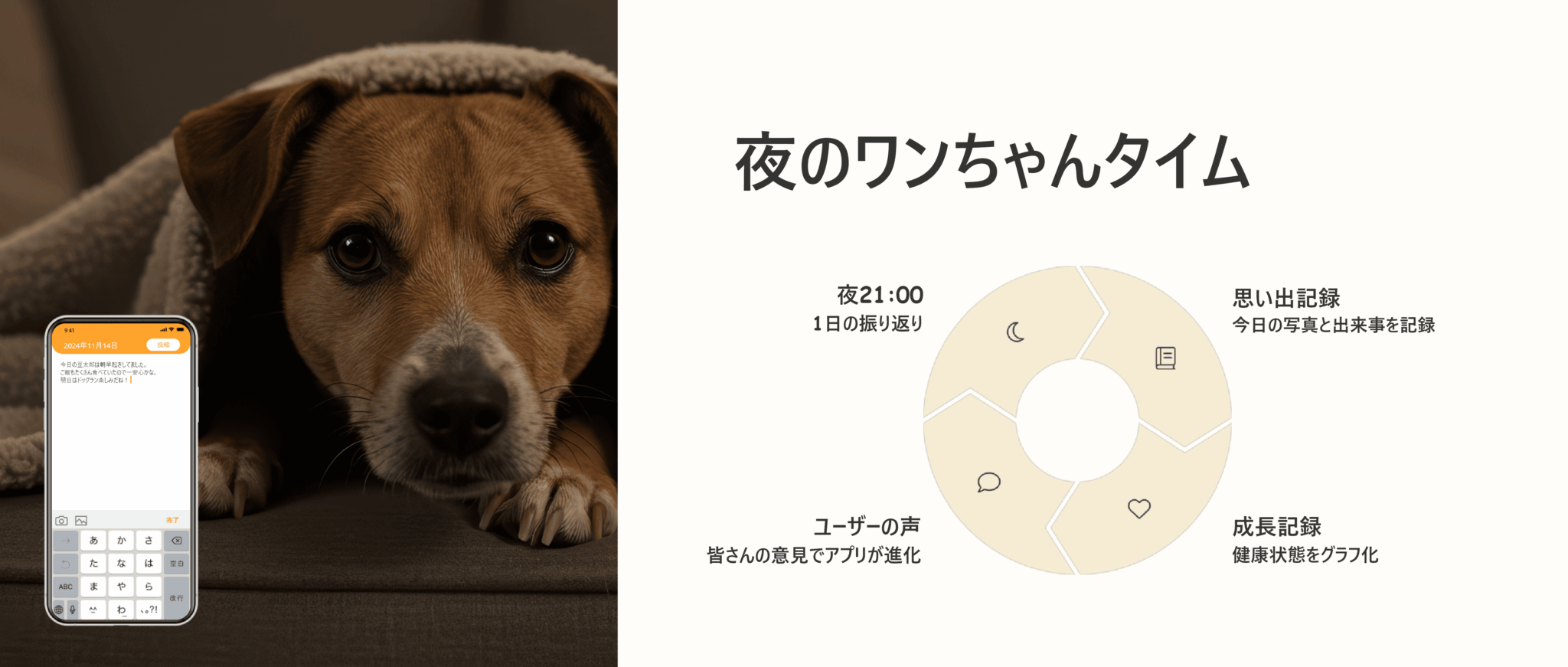 夜