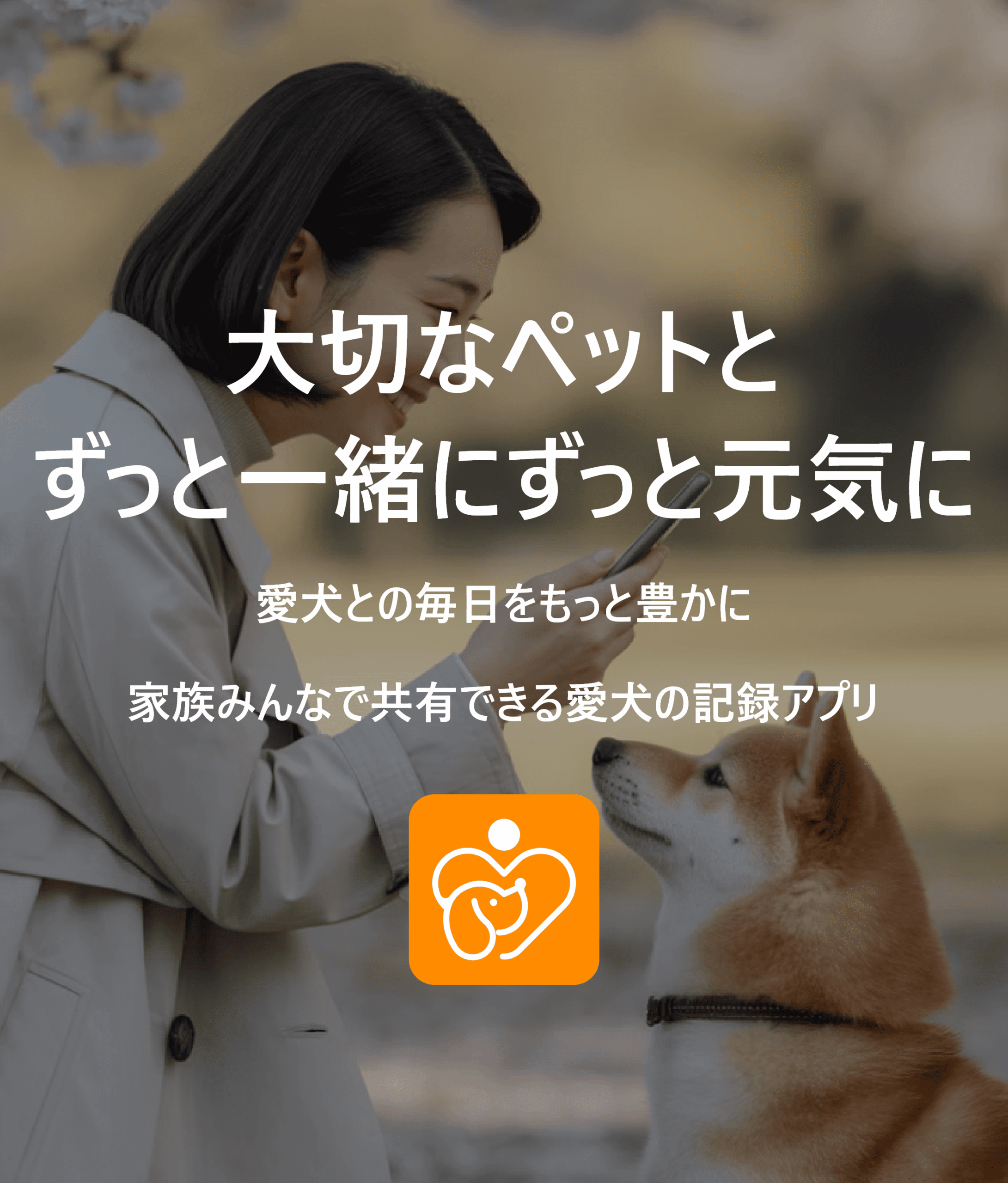 通常sp