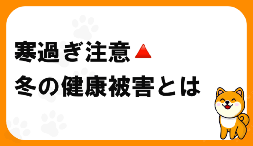 犬は冬にストレスを感じる？寒さがもたらす健康被害と主な注意点