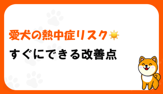 【獣医師監修】愛犬の熱中症リスクや症状、応急処置、予防策まで詳しく解説！