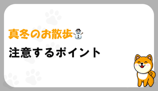 冬の愛犬の散歩で気をつけたい寒さ対策や適切な時間、防寒グッズ選びやケア方法を詳しく解説します。