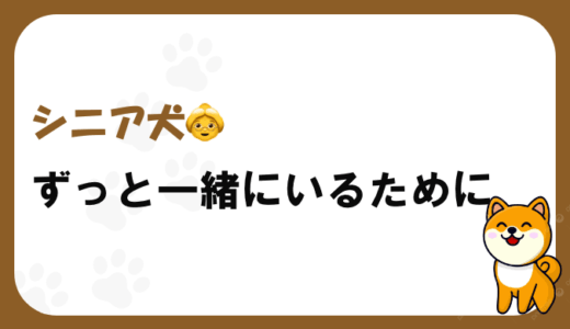 シニア犬の介護方法や環境づくり、健康管理の工夫ポイントを見出しごとにわかりやすく解説します。