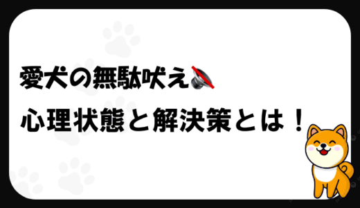 犬の吠える行動とは?その理由と飼い主が知っておくべき大切なこと