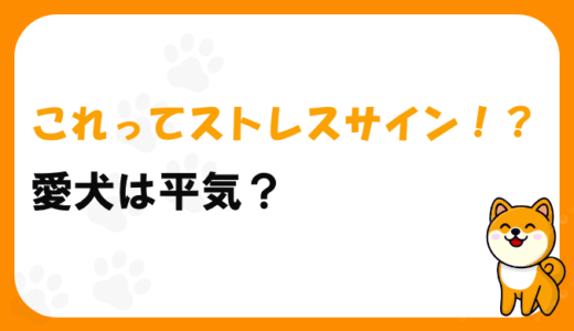 愛犬が見せるストレスサインや原因、主な行動変化、効果的なケア方法まで詳しく解説します。
