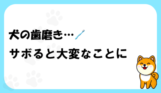犬の歯磨きはなぜ必要？飼い主が知りたい「口腔ケア」の基本と健康のつながり