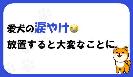犬の涙やけとは？症状と健康リスクについて