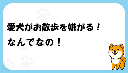 犬が散歩を嫌がる理由を知ろう。飼い主が気を付けたいポイント