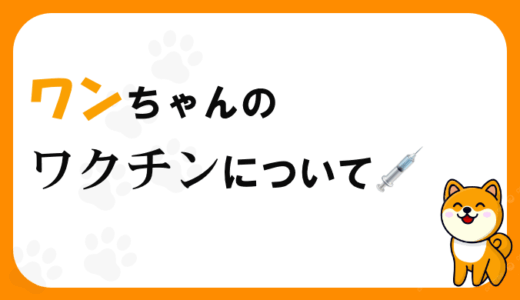 犬のワクチンの種類や接種時期、費用、副作用や注意点について詳しく解説します。