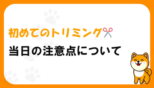 初めて犬のトリミングで失敗しないためのサロン選びや事前準備、当日の注意点を丁寧に解説します。