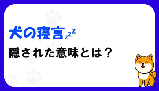 犬の寝言やいびきに隠されたサインとは？飼い主が知っておきたい基本知識と病気・健康の見分け方