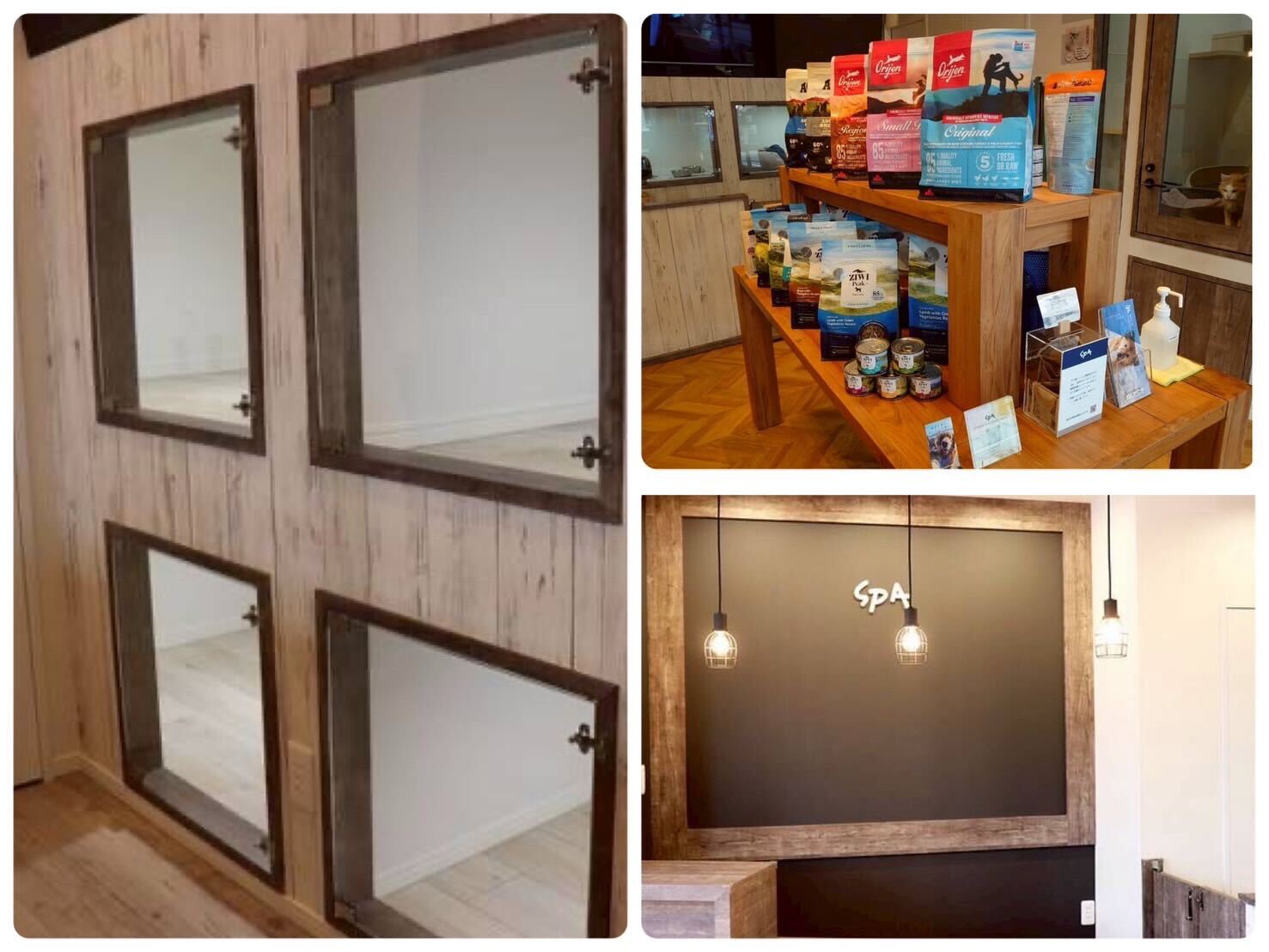 特定非営利活動法人SPA